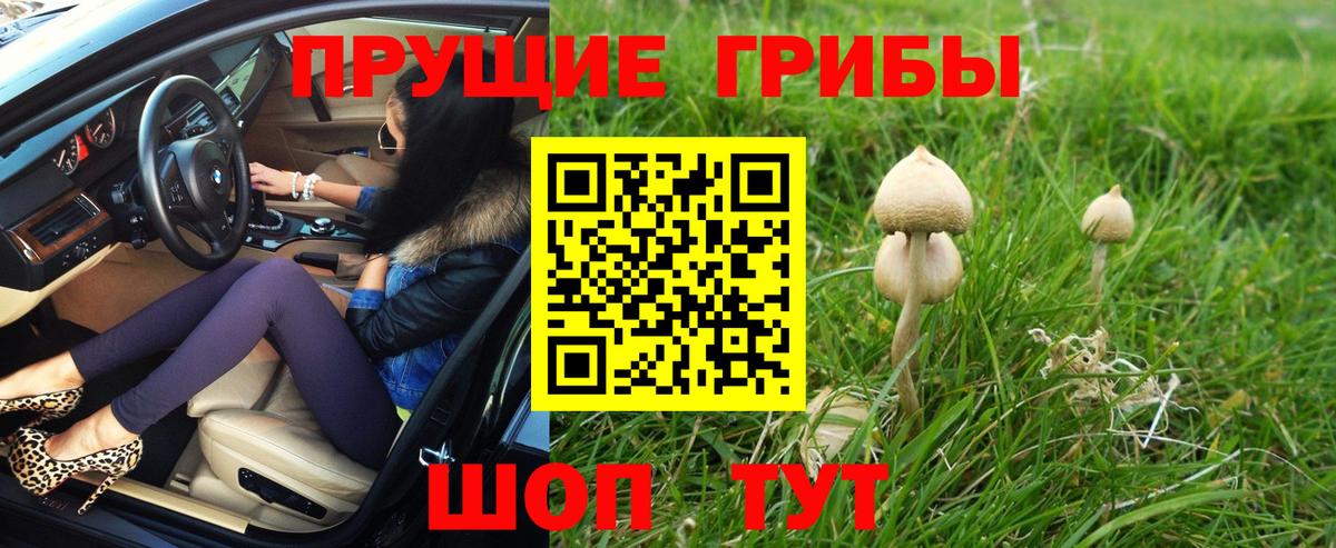 Галлюциногенные грибы мухоморы Ливны